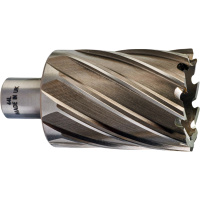 Фреза кольцевая Milwaukee HSS D44х50мм (Weldon) Фреза кольцевая Milwaukee HSS D44х50мм (Weldon)