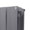 Радиатор Royal Thermo PianoForte 300 /Silver Satin - 8 секц. Радиатор Royal Thermo PianoForte 300 /Silver Satin - 8 секц.