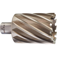 Фреза кольцевая Milwaukee HSS D47х50мм (Weldon) Фреза кольцевая Milwaukee HSS D47х50мм (Weldon)
