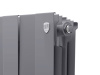 Радиатор Royal Thermo PianoForte 300 /Silver Satin - 14 секц. Радиатор Royal Thermo PianoForte 300 /Silver Satin - 14 секц.